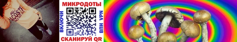 Галлюциногенные грибы GOLDEN TEACHER  Ржев 